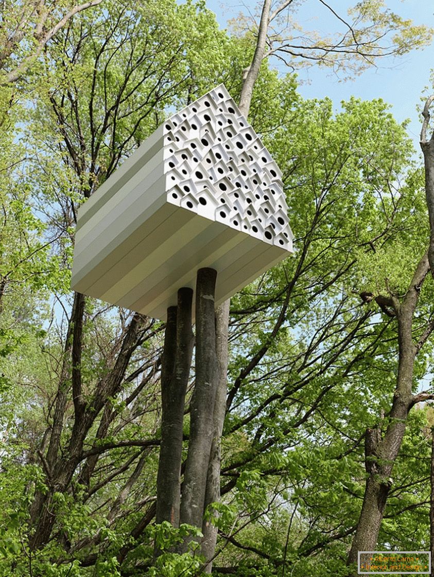 Treehouse a madarak és az emberek számára (Japán)