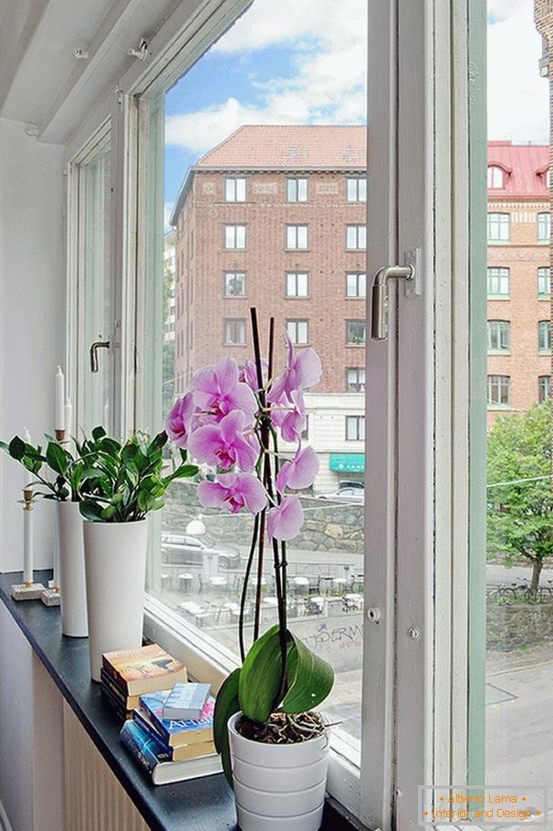 Virágok az ablakpárkányon
