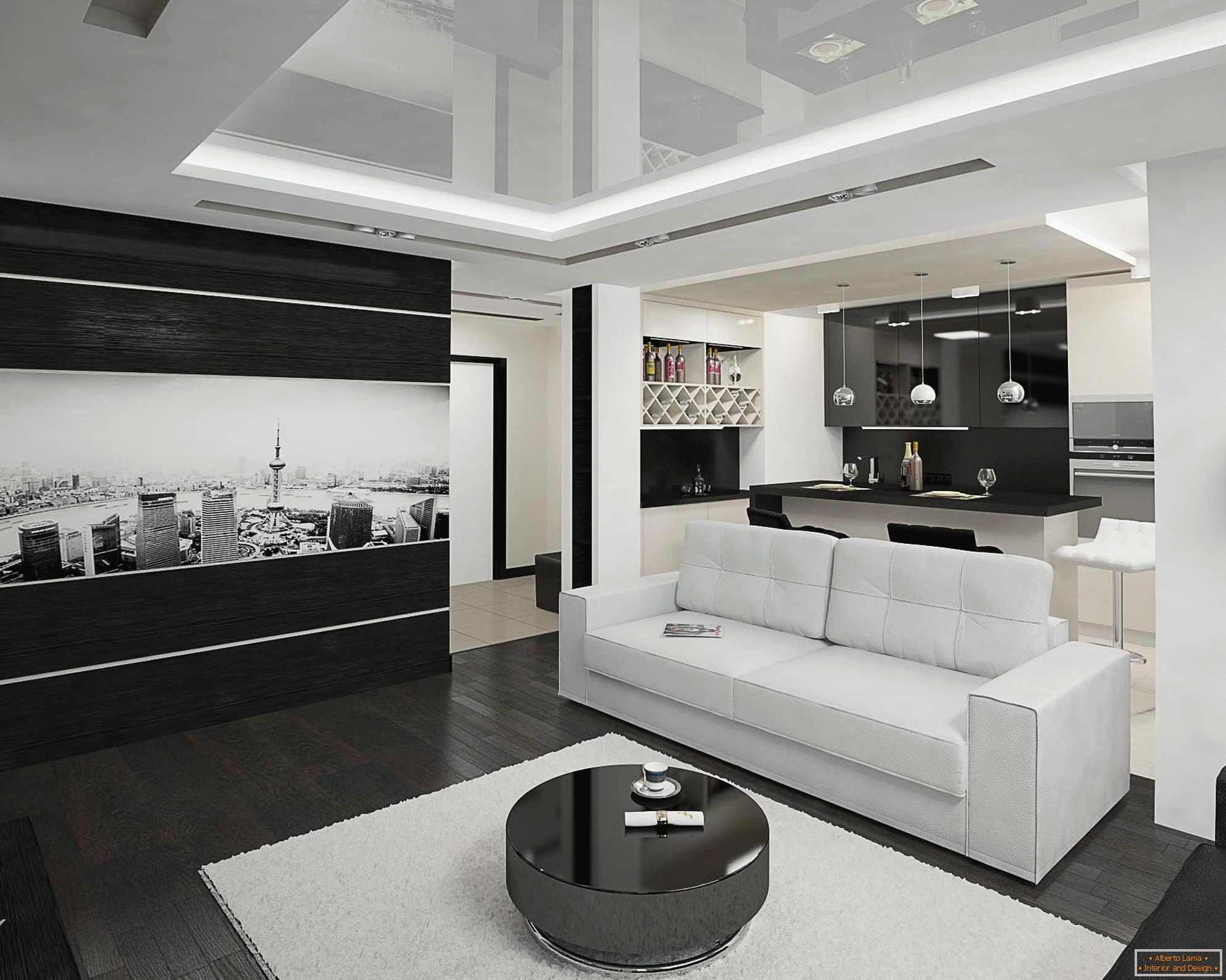 Fekete-fehér konyha és nappali belső tér 20 négyzetméteren