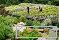 30 удивительных идей для оформления kert a tetőn
