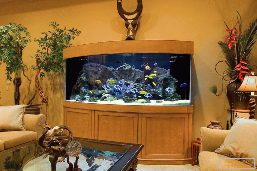 Gyönyörű akvárium в гостиной