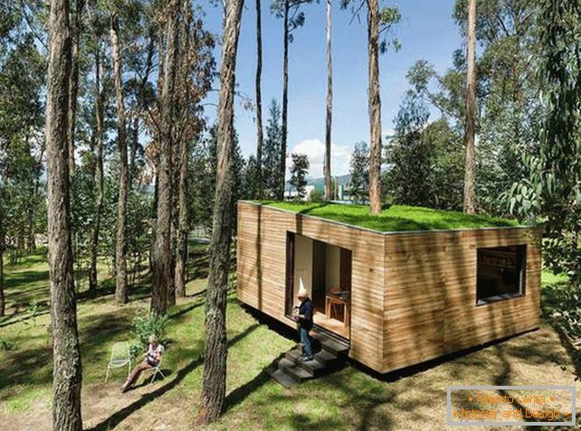 Kis ház az erdőben moha tetővel