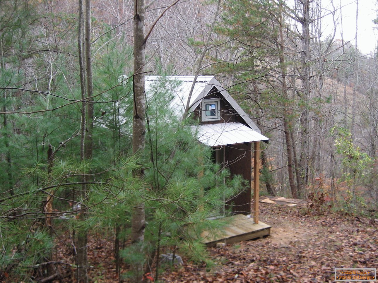 Kis ház az erdőben