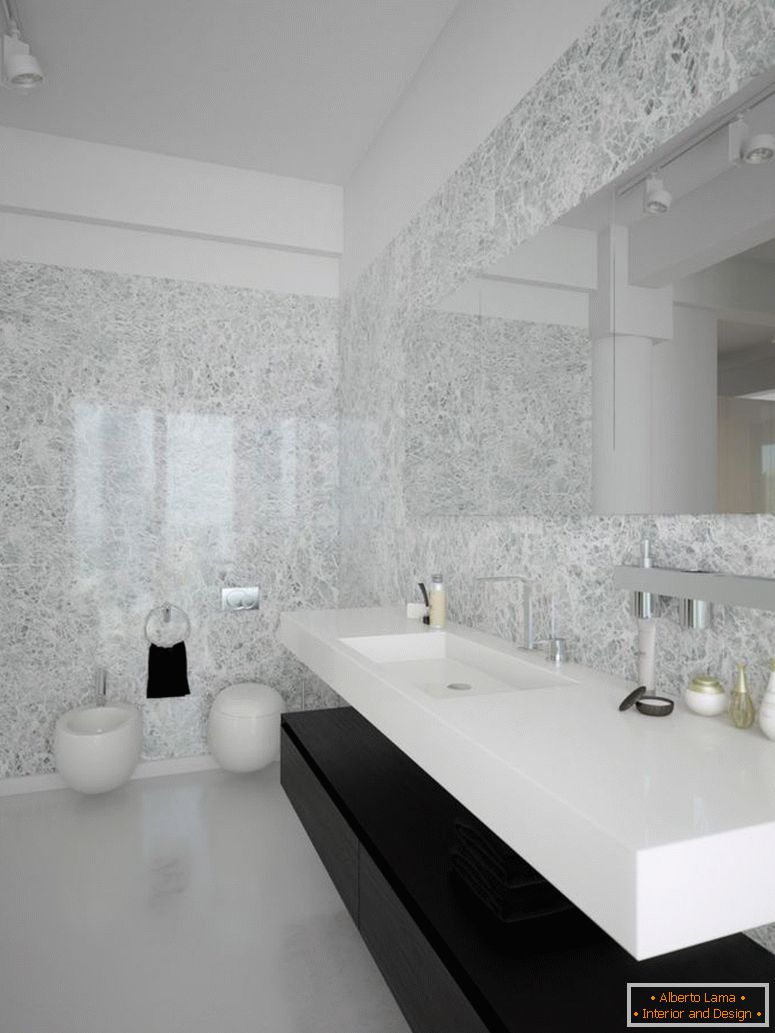 black-white-contemporary-fürdőkádroom-design
