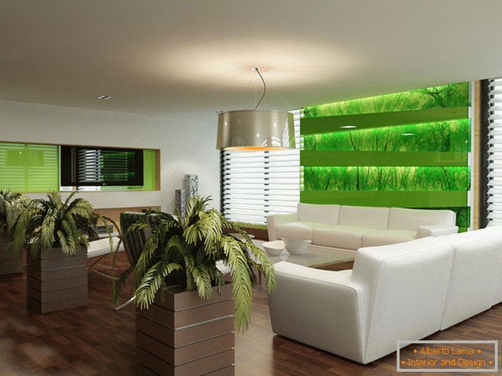 Az ökológiai stílus a nappali belsejében segít a lakástulajdonosoknak és vendégeiknek a város felhajtásából.