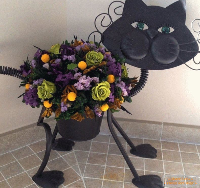 Macska a virágokért