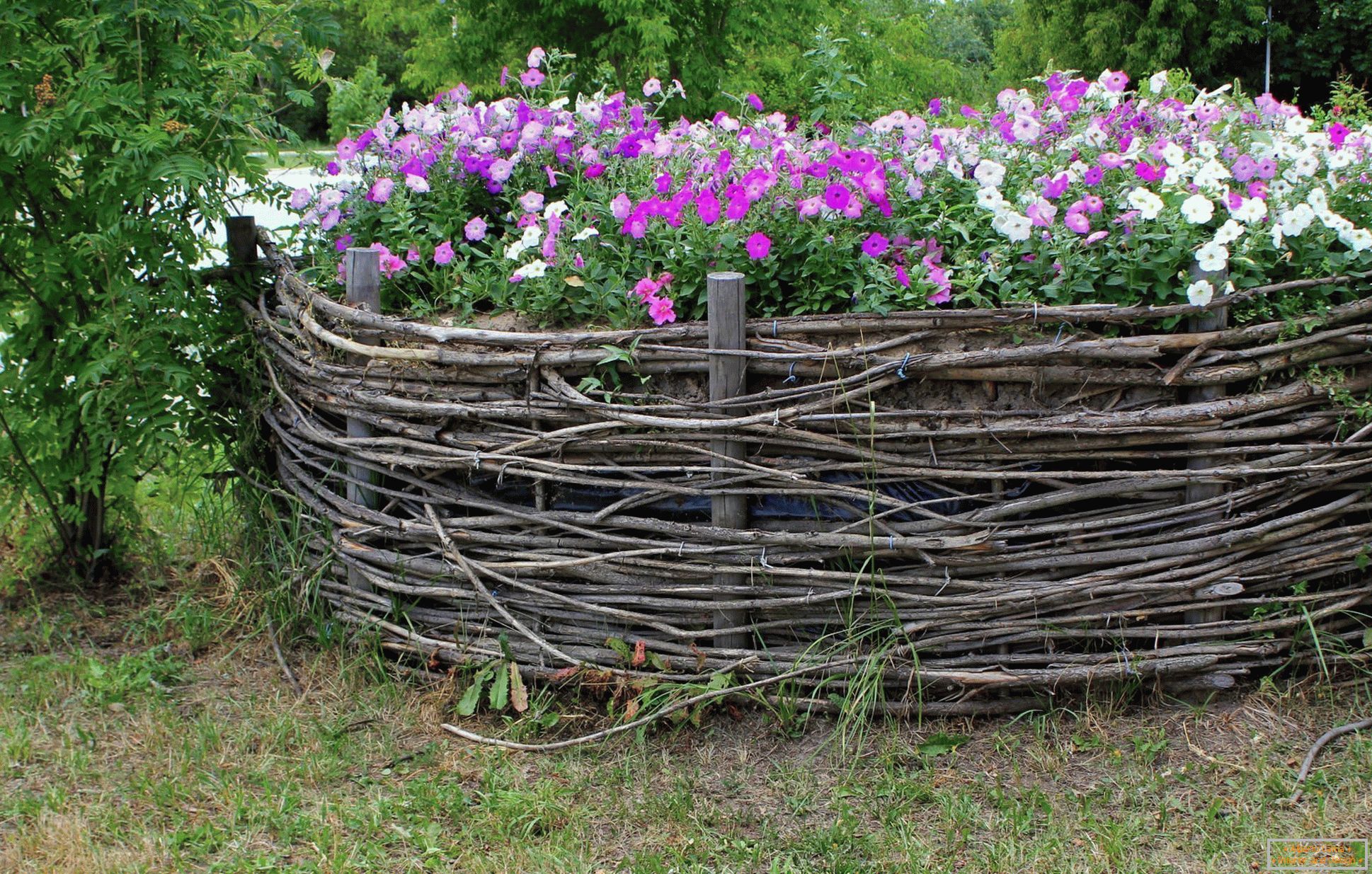 Virágágyú fonott kerítés