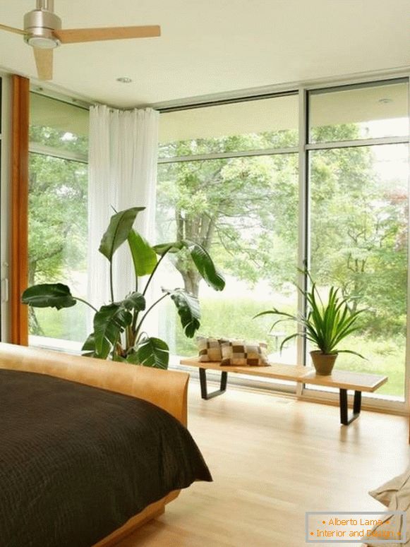 Nagy ablakok és cserepes növények a hálószobában