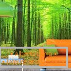 Narancssárga kanapé egy zöld erdő háttér