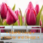 Virágzó tulipánok