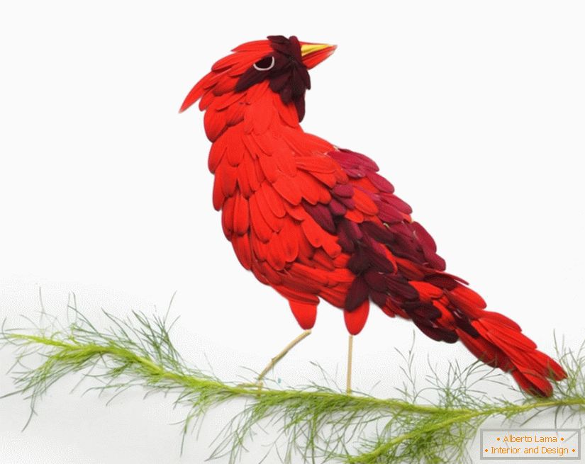 Bird of Gerbera szirmok, művész Hong Yi