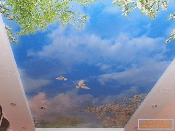 A megnyitott mennyezetek fotónyomtatással bármilyen helyiségben kialakíthatók. A kék égbolt harmonikus képe fehér galambokkal különösen vonzónak tűnik a vendégszobában.