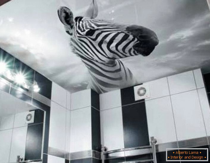 Szokatlan megoldás a fekete-fehér fürdőszoba díszítésére a zebra képe a fotónyomtatásra szánt stretch mennyezeteken.