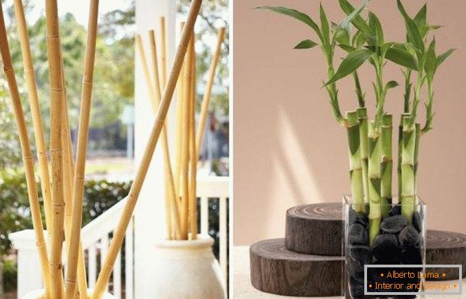Bambusz mint dekoráció