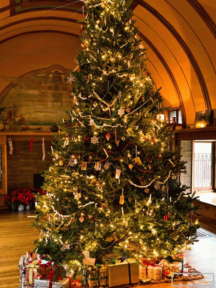 Gyönyörű karácsonyfa