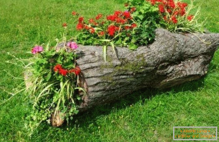 A kivágott fa részéről a summerman egy plüss ágyat készített az udvarra.