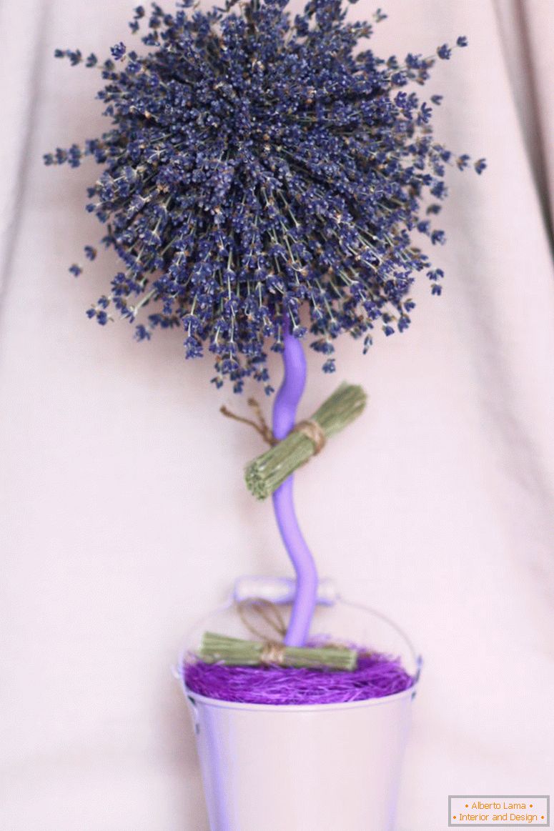 Lavender műkertészet fa