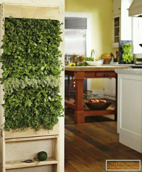 Zöld növények a konyhában