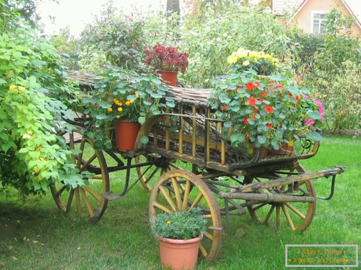 Eredeti virágágyások az országstílusban egy régi kosárból vagy felesleges kerékpárból készíthetők.