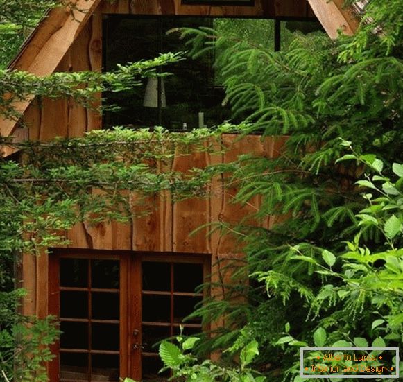 Kis erdei ház (fotó), США