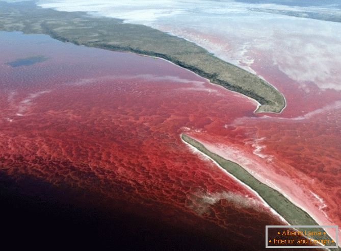 Fényes vörös víz a tónál