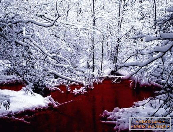 Vörös vörös tó Kanadában