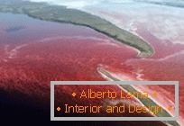 Szokatlan piros tó Észak-Kanadában