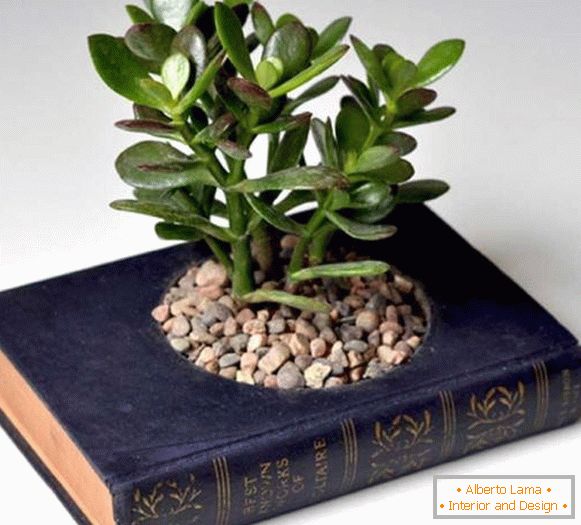 Pot a növények a könyvből