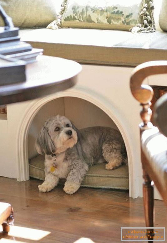 Egy barátságos ház egy kutya egy lakásban