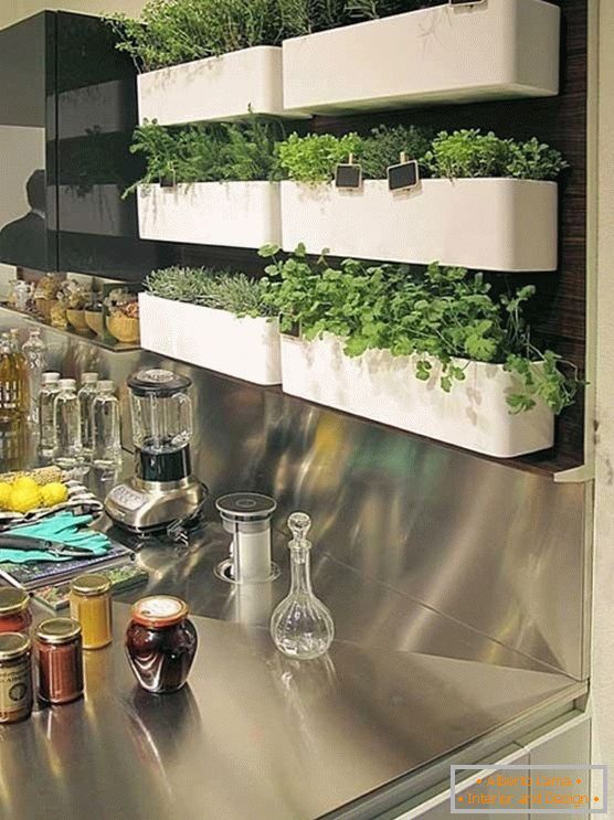Fűszernövények a konyhában