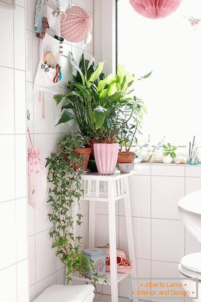 Növények a fürdőszoba sarkában