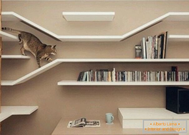 Labirintus egy macska fali polcokból