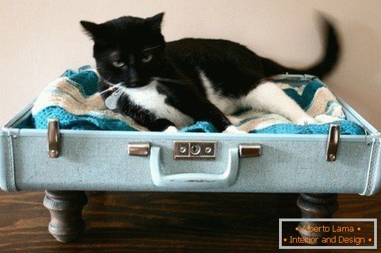 Hely egy macskának egy bőröndből