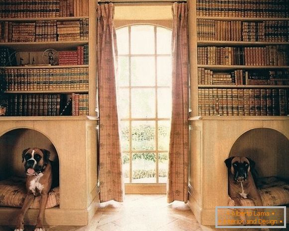 Könyvespolcok kutyák számára