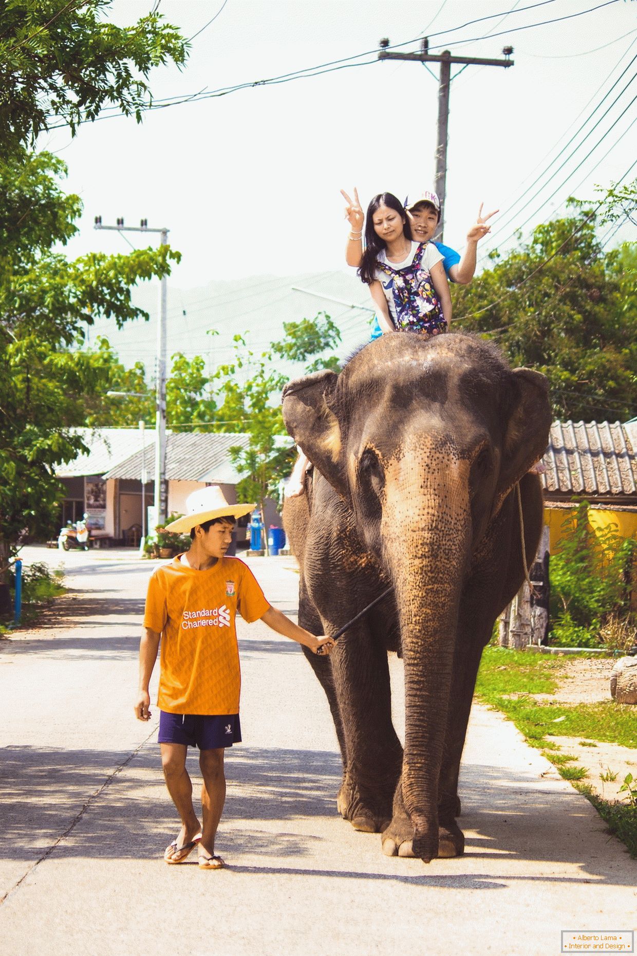 Utazás egy elefánton