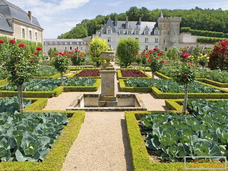 Egy zöldségkert egy luxus ház közelében