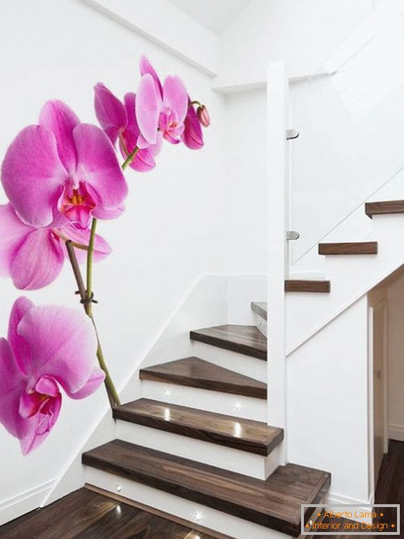 Fotók orchideák a lépcsőn