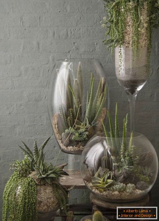 Növények nagy üvegvázákban