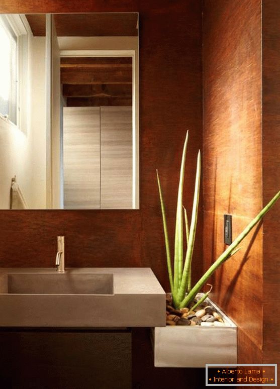 Aloe vera egy modern fürdőszobában