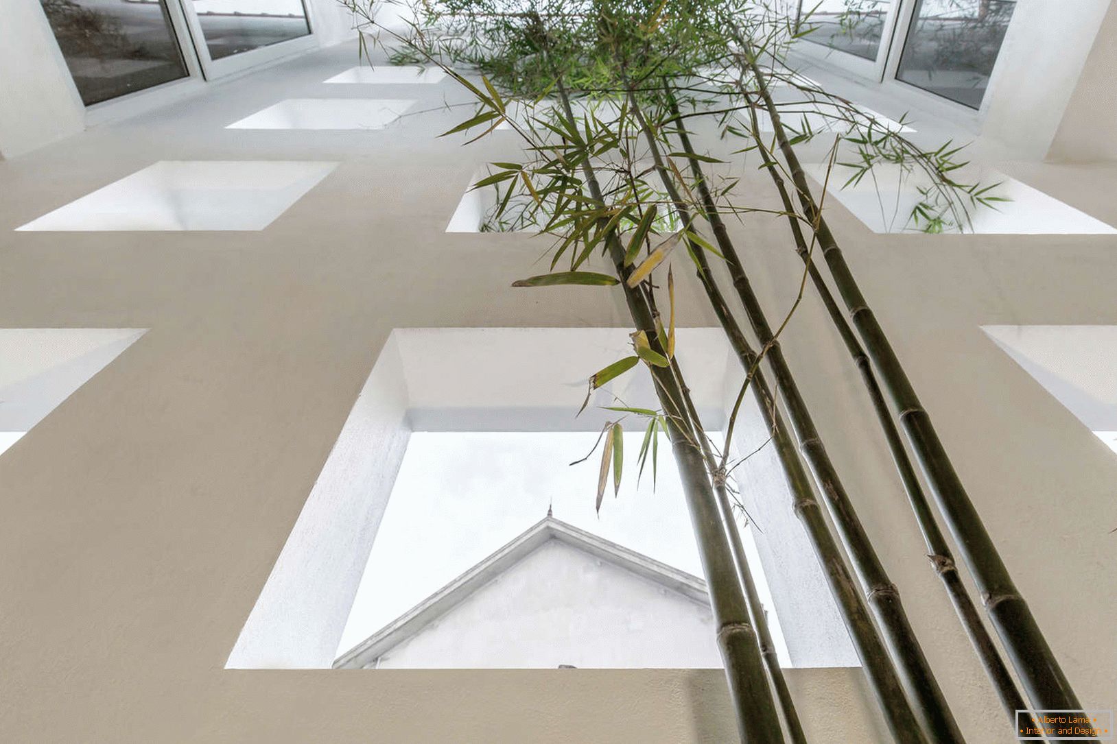 Bambusz egy keskeny beton házban