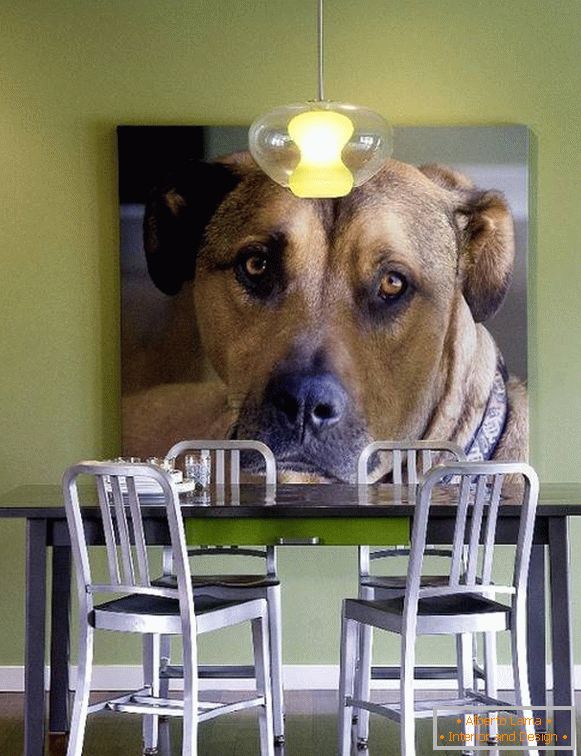 Fotó a kutya, mint a dekoráció a fal
