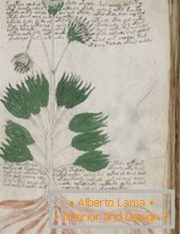 Voynich titokzatos kézirata