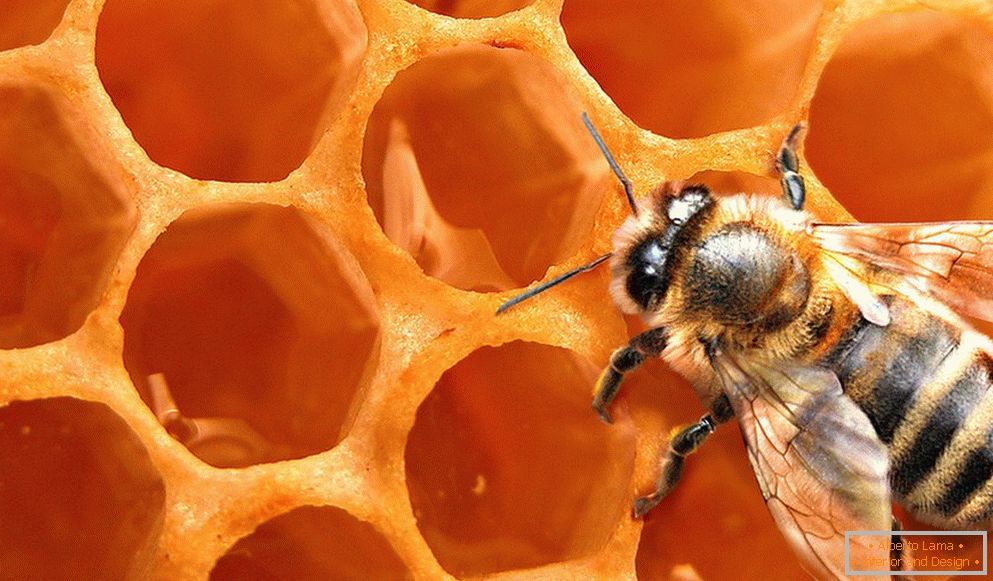 Bee méhsejt