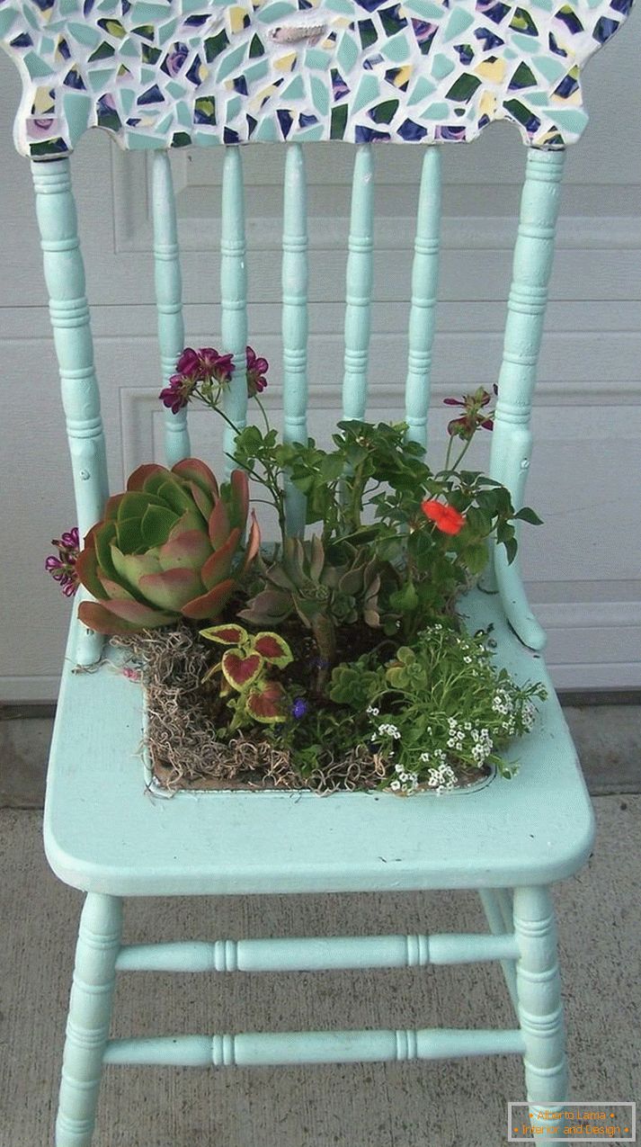 Virág elrendezése egy szék nyeregben