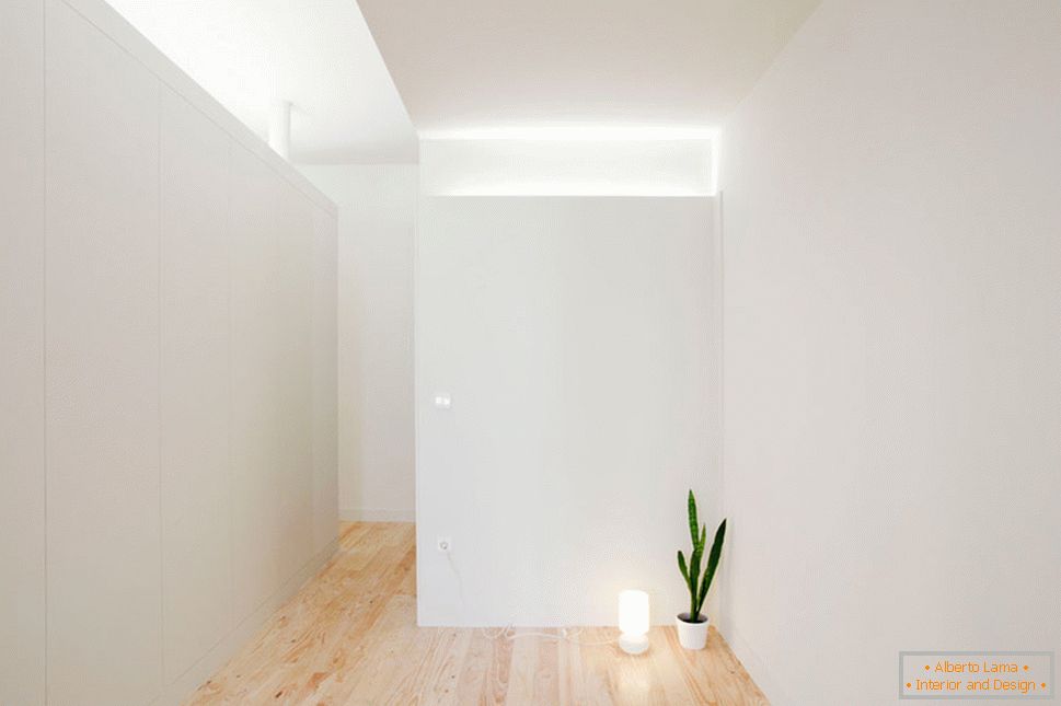 Egy kis stúdió apartman belseje világos színekben - одинокий цветок