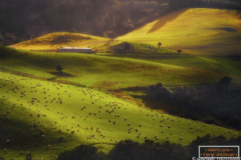 Új-Zéland tájképei Dylan Toh